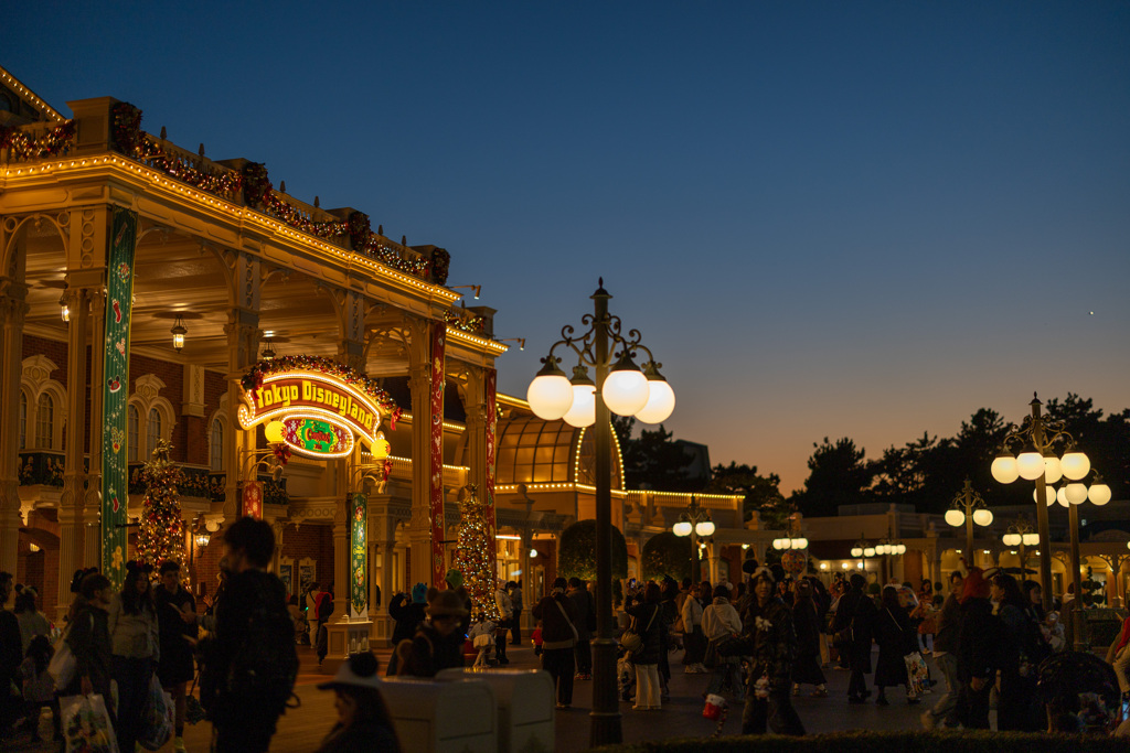 思い思いの夢の中