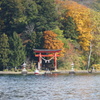 野尻湖紅葉２