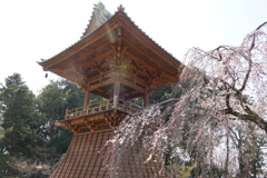 枝垂れと鐘突き台