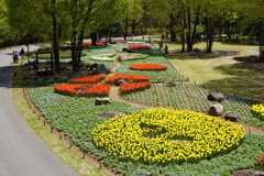 国営安曇野公園松川地区花壇