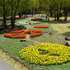 国営安曇野公園松川地区花壇