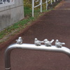 乙女駅の入り口にあったオブジェ