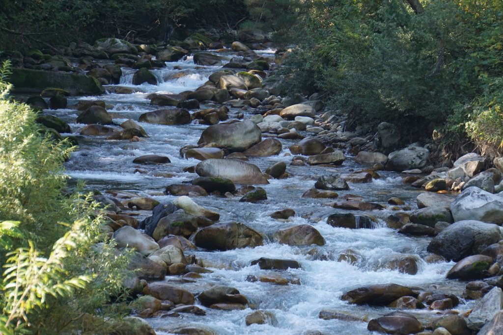 北アルプスの天然水