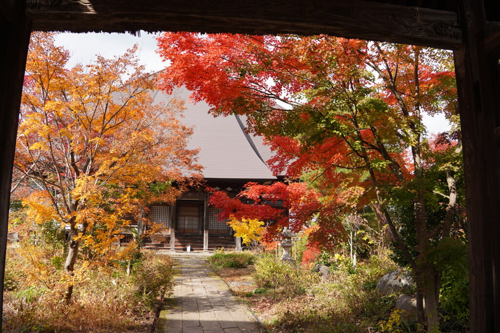 紅葉のお寺