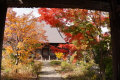 紅葉のお寺