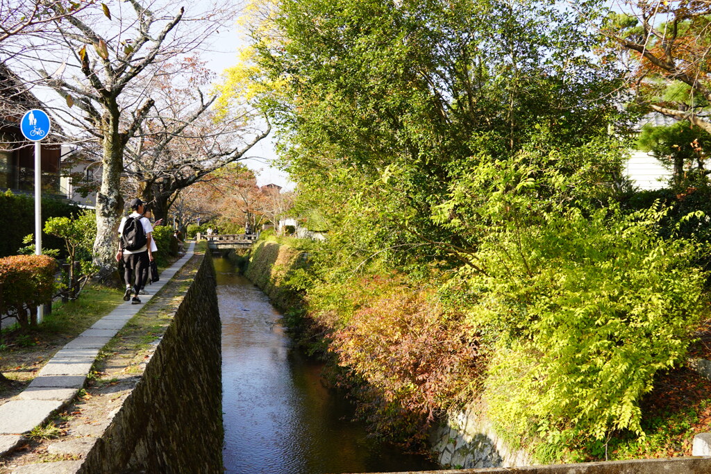 哲学の道、少し早かった