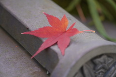 誰が置いたか？