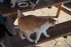 あ～食った食った