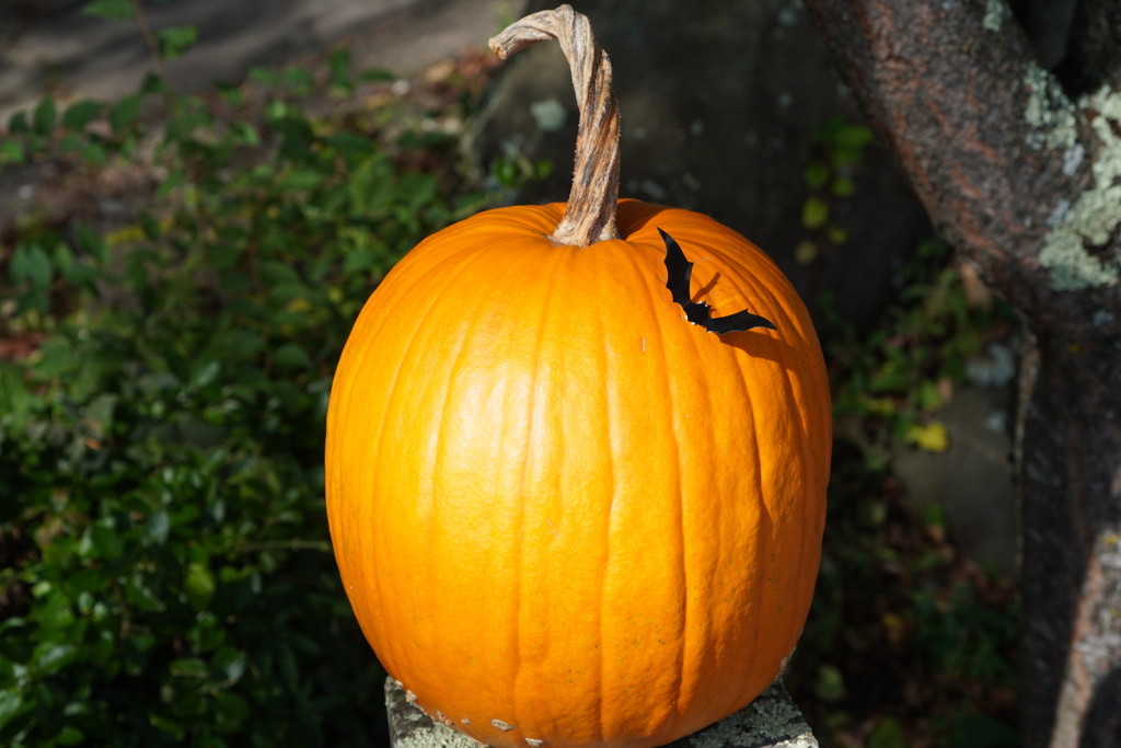 ハロウィン