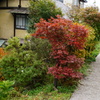 寺町の紅葉２