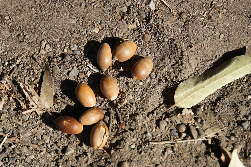 朝食も用意してあるよ。