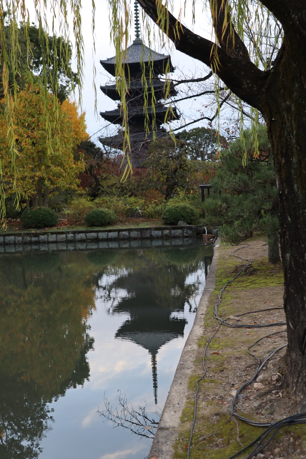 東寺五重塔