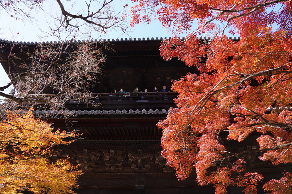 紅葉の南禅寺山門