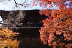 紅葉の南禅寺山門
