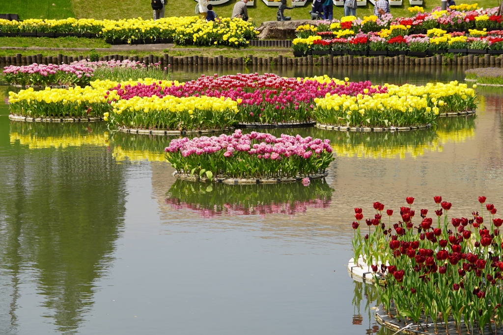 水上花壇