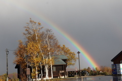 美瑛北西の丘から見えた虹