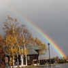 美瑛北西の丘から見えた虹