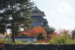 違う角度で