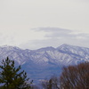 遠く雪景色の山