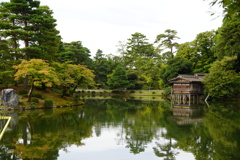 公園の木々に秋を感じて