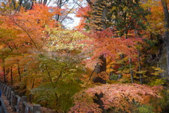 小諸懐古園の紅葉