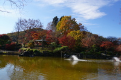 桜山公園