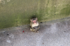 餌投げて