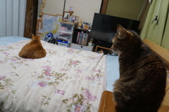 ニータ早くどいて