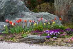 どの花見ても綺麗だな