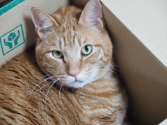 何処連れて行ってくれるの