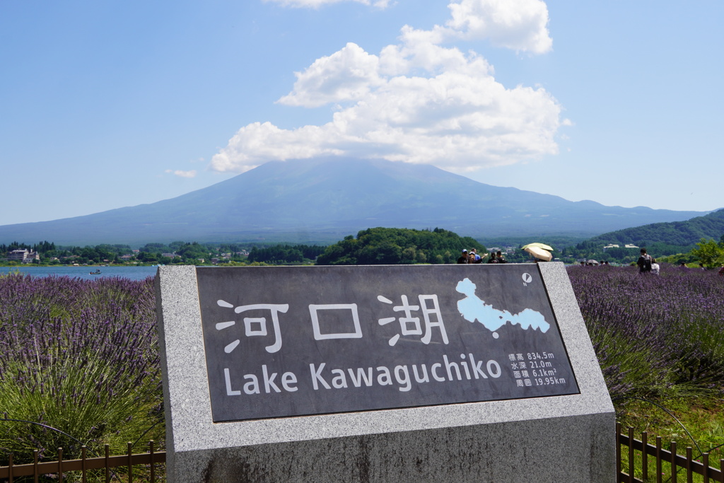 河口湖からの富士山