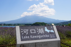 河口湖からの富士山