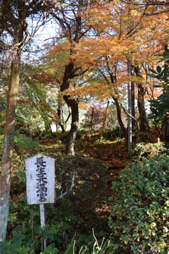 空気が澄んでて長生きできそう