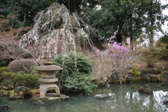 慈眼寺の池