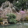 慈眼寺の池
