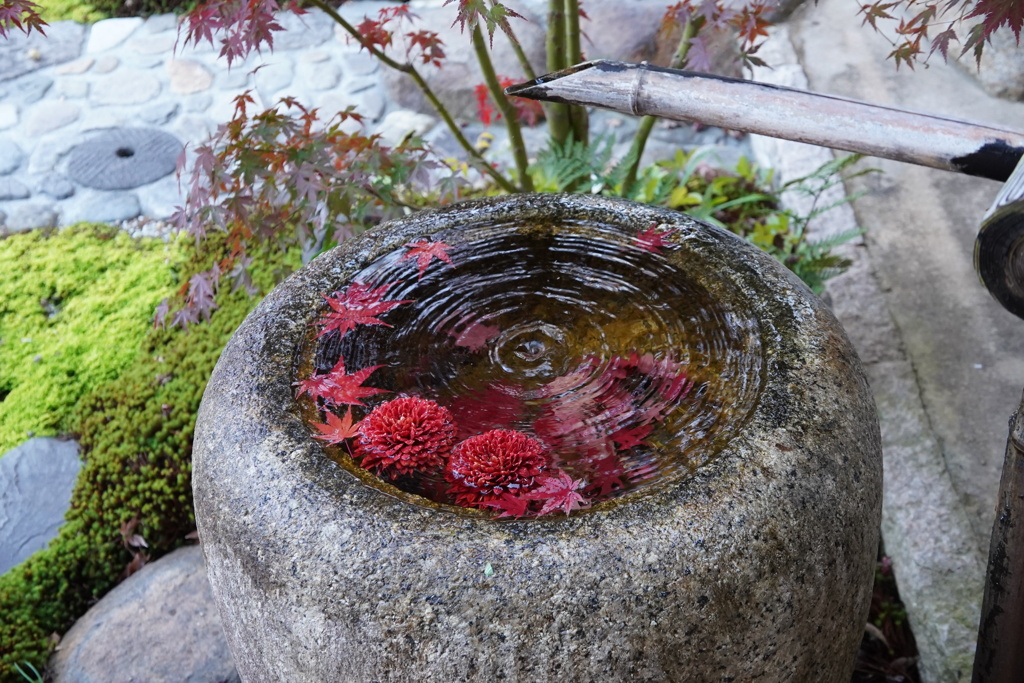 水の中の秋