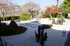 円光寺のお庭