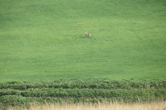 もっと近くにおいで
