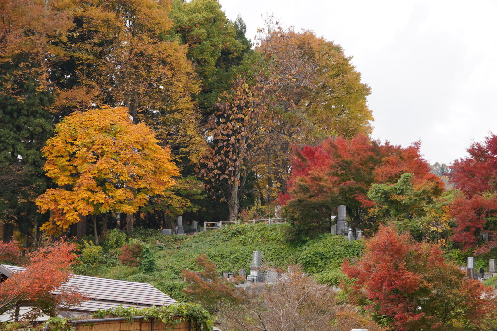 飯山の紅葉