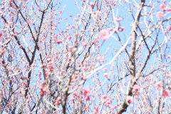 カメラの調子が