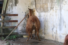 ちょっと失礼