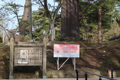 葉桜祭り