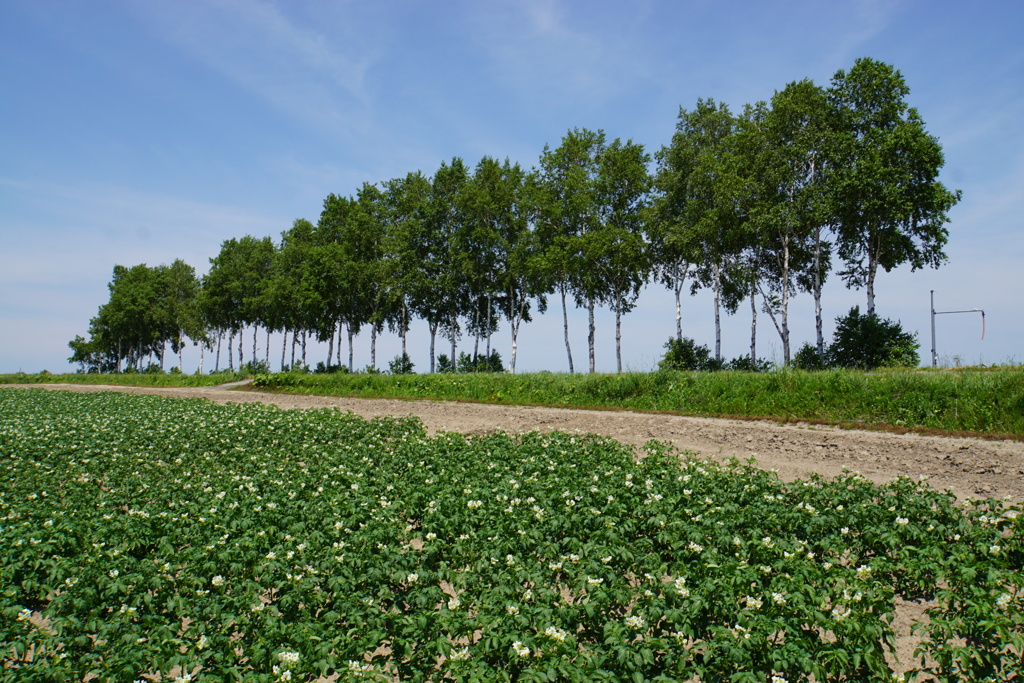 昔CMで見たような