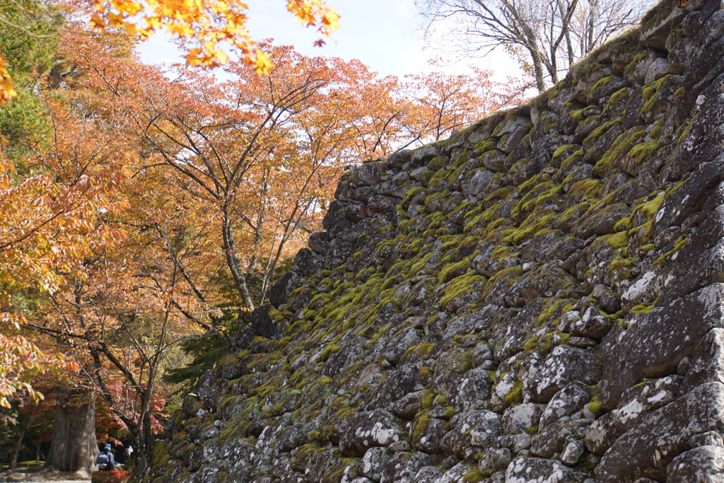 石垣に歴史を感じる