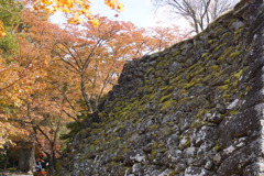 石垣に歴史を感じる