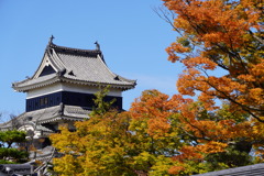 秋の松本城