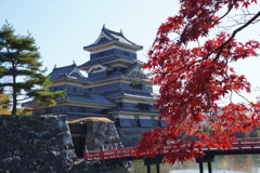 もみじとお城