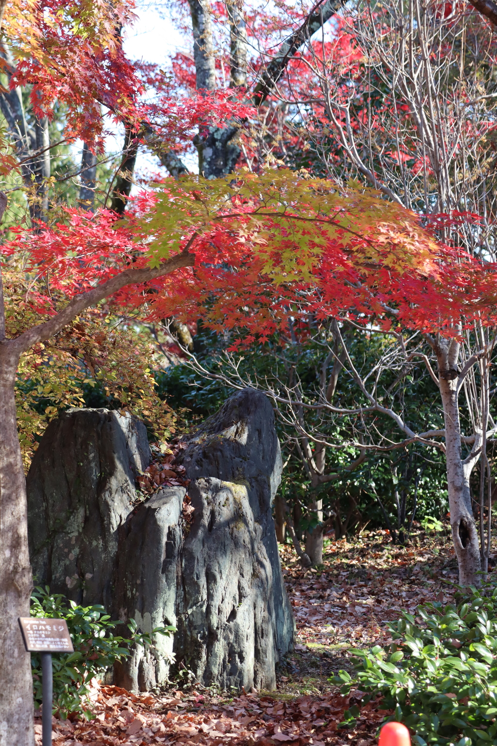 道祖神と紅葉