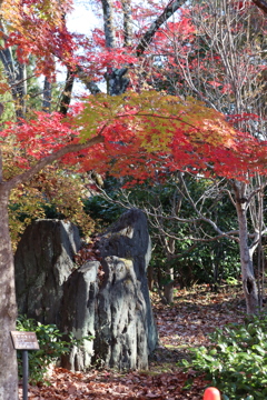 道祖神と紅葉