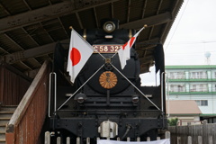 菊花展を祝って